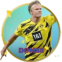 DOM88
