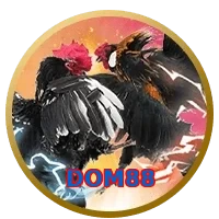 DOM88