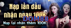 DOM88